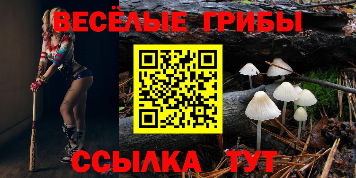 Реутов  Галлюциногенные грибы мухоморы  купить   Вход с VPN 